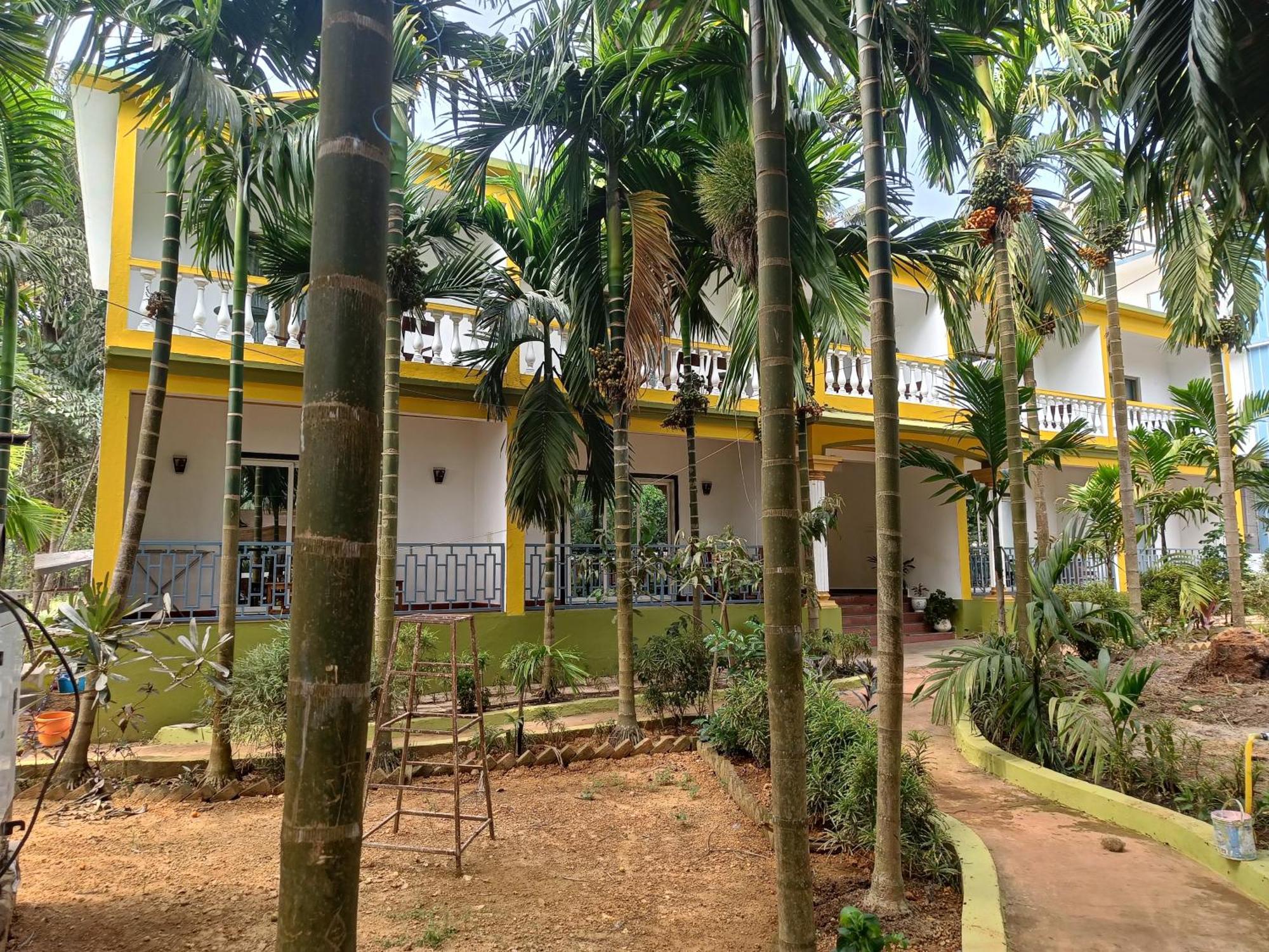Lavish Exotic Hotel & Apartments Арамбол Екстер'єр фото